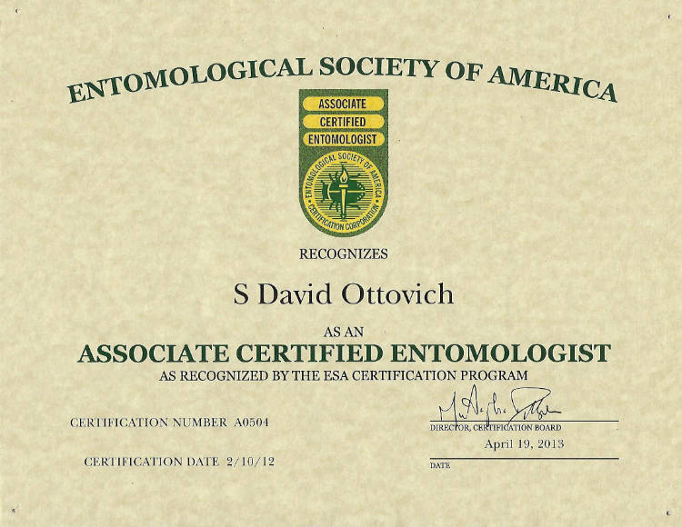 Dave Ottovich, Associate Certified Entomologist for Ask the Bug Man Eugene, Springfield, and other Oregon areas
